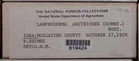Image Associated With the Occurence